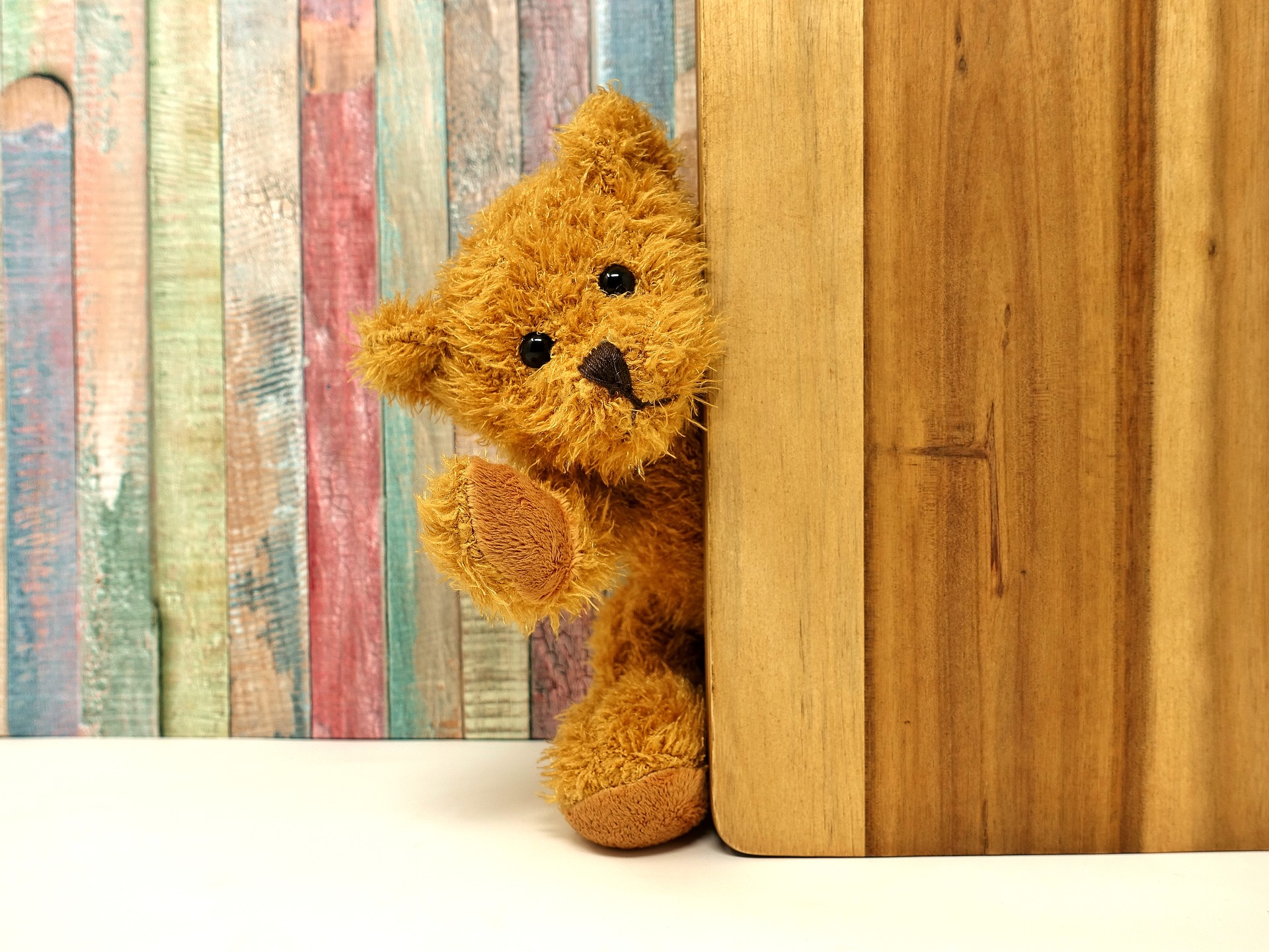 build your teddy